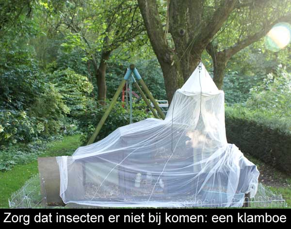 Voorkom dat uw konijn door insecten gestoken worden hang 's avonds en 's nachts een klamboe over het hok